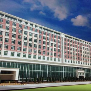 ���������-��������� ���