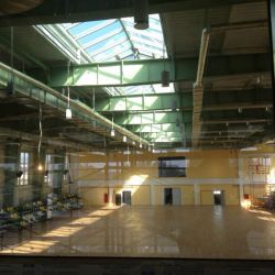 ���� ��� ��������