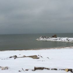 ���� ��� ��������